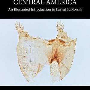 Chironomidae of Central America - Paperback / softback Clearance Cheapest Pice