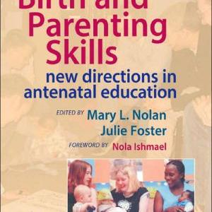 Birth and Parenting Skills:New Directions in Antenatal Education Cheap Sale Lowest Pice