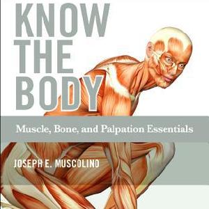 Workbook for Know the Body: Muscle, Bone, and Palpation Essentials Cheap Sale Outlet