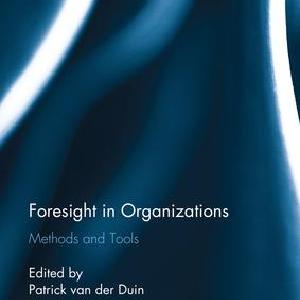 Foresight in Organizations Sale Low Cost