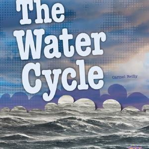 The Water Cycle Amazon Cheap Online