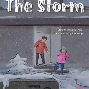 The Storm Popular Sale Online
