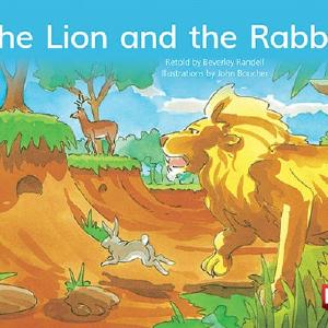 The Lion and the Rabbit Free Shipping
