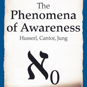 Phenomena of Awareness - Paperback / softback Big Sale