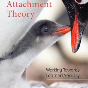 Attachment Theory - Hardback Cheap Best Place