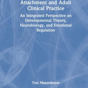 Attachment and Adult Clinical Practice - Hardback Cheap Factory Outlet