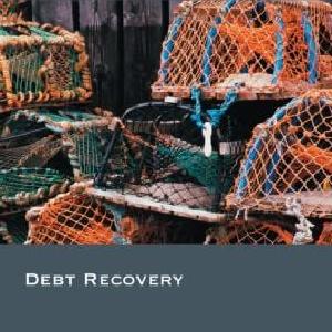 Debt Recovery Wide Range Of Sale Online