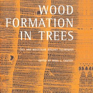 Wood Formation in Trees - Paperback / softback Ebay Cheap Pice