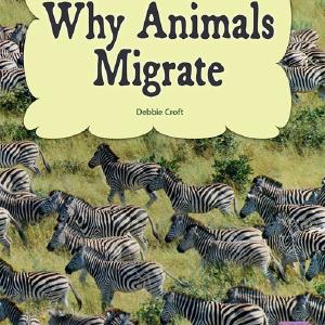 Why Animals Migrate Recommend
