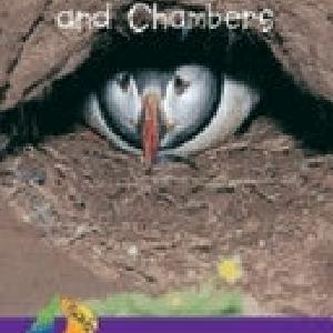 Burrows, Tunnels and Chambers Cheap Sale Enjoy