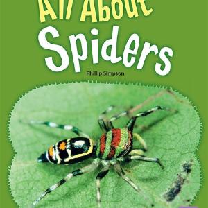 All About Spiders Get Authentic Sale Online