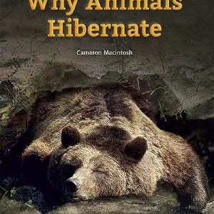 Why animals hibernate Low Cost Online