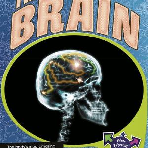 The Brain Fast Delivery Sale Online
