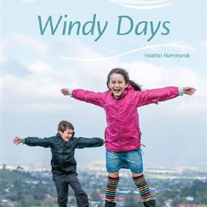 Windy Days Sale Visa Payment