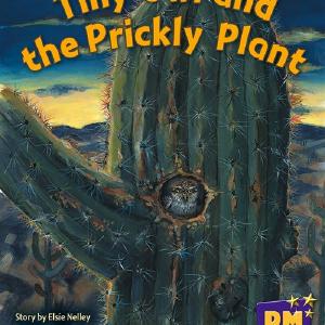 Tiny Owl and Prickly Plant Clearance Recommend