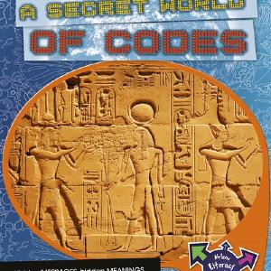 A Secret World Of Codes Free Shipping Inexpensive