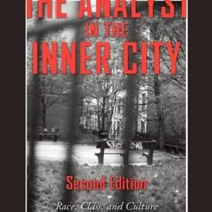 Analyst in the Inner City - Paperback / softback Pay With Visa Cheap Online