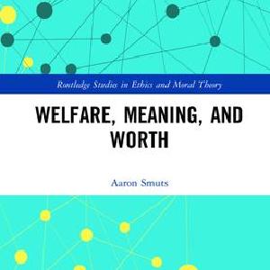Welfare, Meaning, and Worth - Hardback Buy Online Cheap
