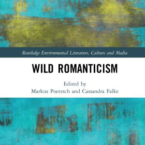 Wild Romanticism - Hardback Online Cheap Quality
