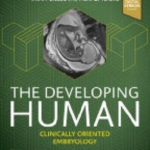 The Developing Human 12E Discounts Sale Online