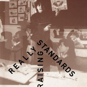 Really Raising Standards Huge Surprise Cheap Online