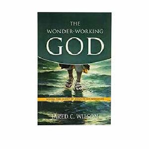 The Wonder Working God Buy Sale Online