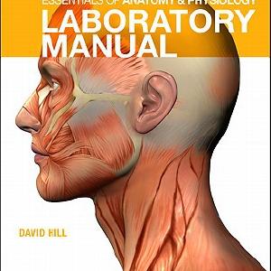 Anatomy and Physiology Interactive Laboratory Manual Sale Cheap Online