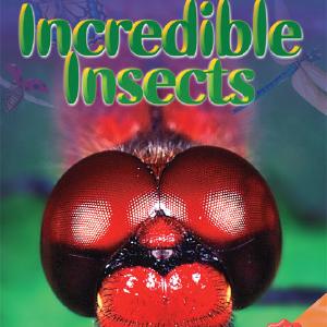 Rigby Literacy Collections Level 4 Phase 6 Discount Wide Range Of