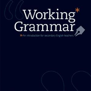 Working Grammar Cheap Pice Wholesale