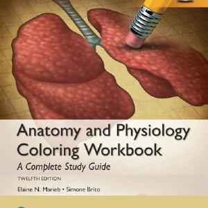 Anatomy and Physiology Coloring Workbook: A Complete Study Guide, Global Edition Cheap Sale 2025 New