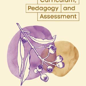 Curriculum, Pedagogy and Assessment Cheap Countdown Package