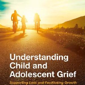 Understanding Child and Adolescent Grief Very Cheap Sale Online
