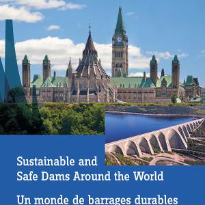 Sustainable and Safe Dams Around the World / Un monde de barrages durables et scuritaires Buy Cheap Classic