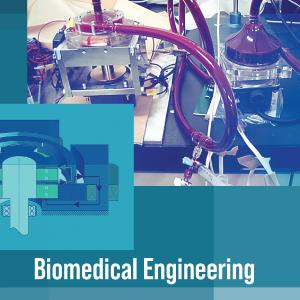 Biomedical Engineering Shipping Discount Authentic