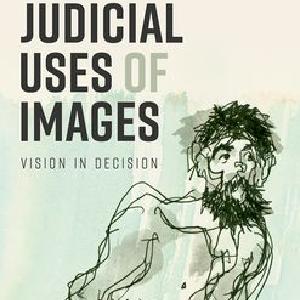 Judicial Uses of Images Vision in Decision Cheap Low Pice