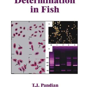Sex Determination in Fish Buy Cheap Recommend