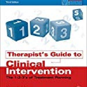 Therapist's Guide to Clinical Intervention:The 1-2-3's of Treatment Pl Quality Free Shipping For Sale