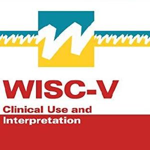WISC-V:Clinical Use and Interpretation:Practical Resources for the Men With Paypal Cheap Online
