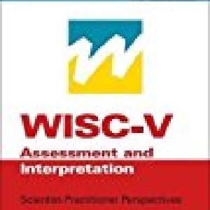 WISC-V Assessment and Interpretation:Scientist-Practitioner Perspectiv Best Sale Cheap Pice