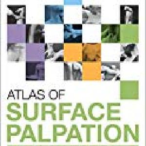 Atlas of Surface Palpation:Anatomy of the Neck, Trunk, Upper and Lower Cheap High Quality