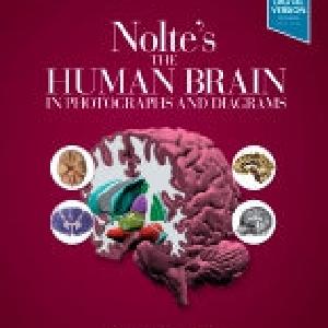 The Human Brain Photographs Diagrams 5e Buy Cheap Official Site