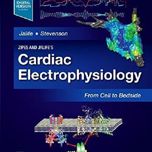 Zipes and Jalife's Cardiac Electrophysiology: From Cell to Bedside With Credit Card For Sale