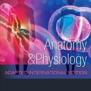 Anatomy and Physiology 1E Sale Good Selling