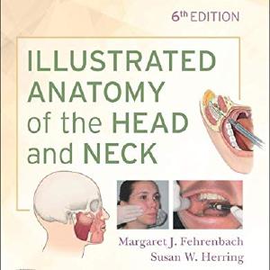 Student Workbook for Illustrated Anatomy of the Head and Neck Buy Online Cheap Pice