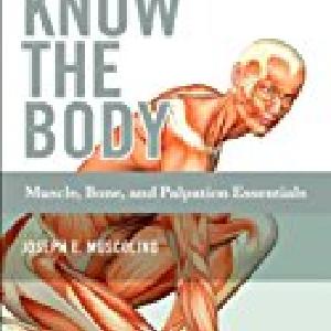 Know the Body: Muscle, Bone, and Palpation Essentials Fashionable Cheap Online