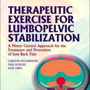 Therapeutic Exercise for Lumbopelvic Stabilization:A Motor Control App Free Shipping Reliable