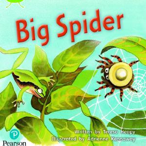 Bug Club Phonics - Phase 5 Unit 27: Big Spider Nicekicks Cheap Pice