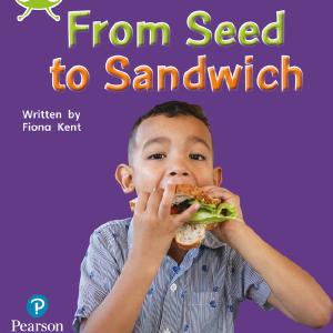 Bug Club Phonics - Phase 1 Unit 0: From Seed to Sandwich Buy Cheap Browse