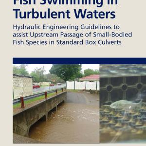 Fish Swimming in Turbulent Waters Quality From China Wholesale