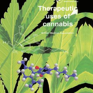 Therapeutic Uses of Cannabis - Paperback / softback Best Pices For Sale